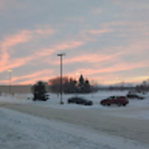 Meet your Posher, Lilly